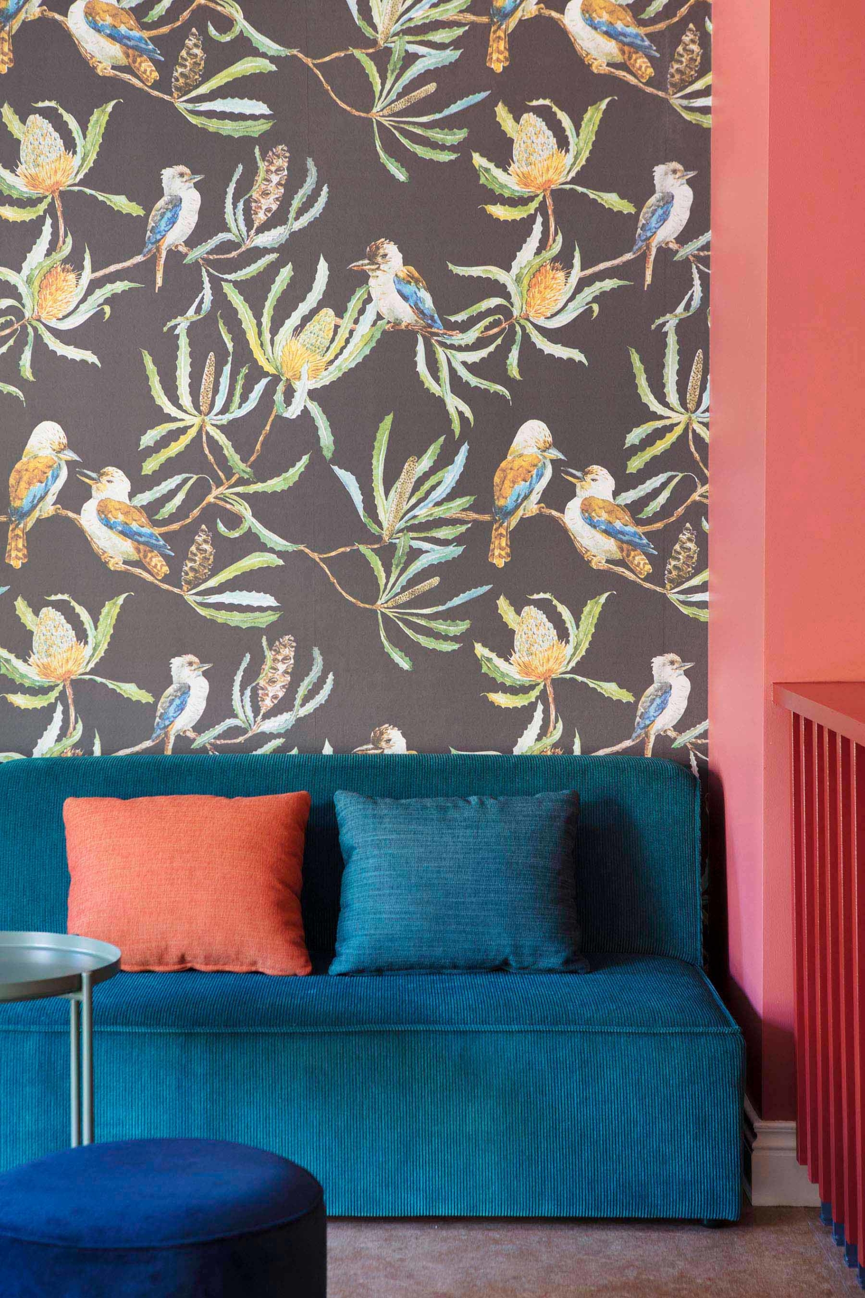 blue couch in front of coloured wallpaper depicting banksias and kookaburras