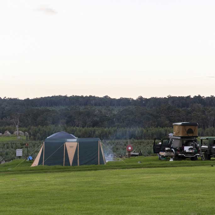 Tents in NewFarm Denmark Campground.