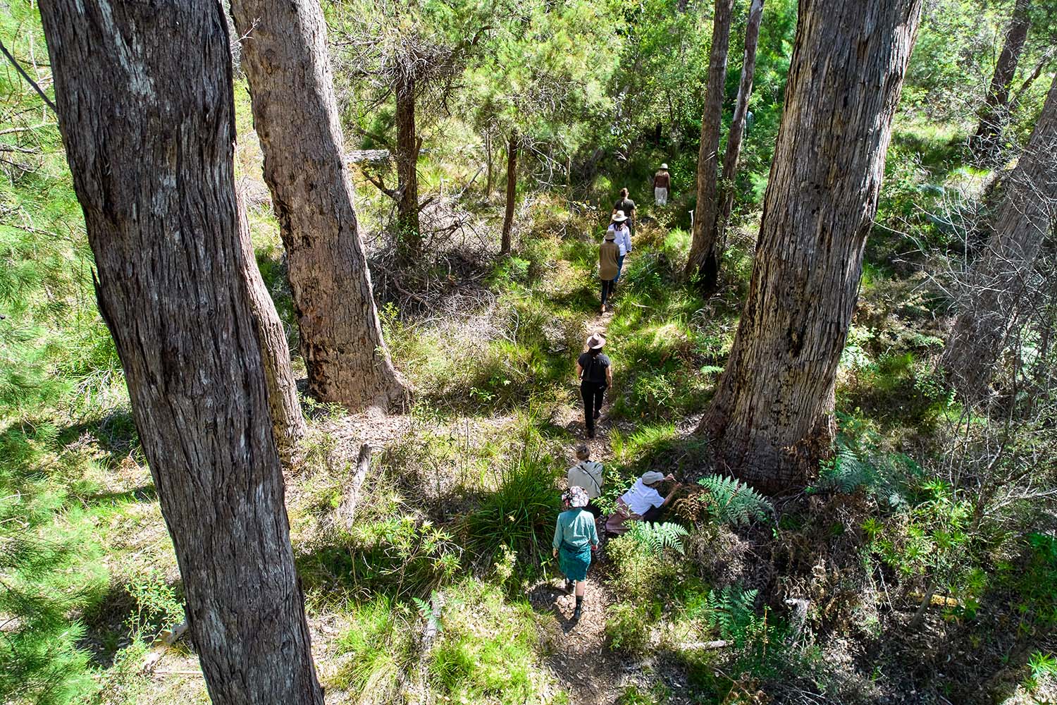 Bo Wong's Development Program in Western Australia - nature walk