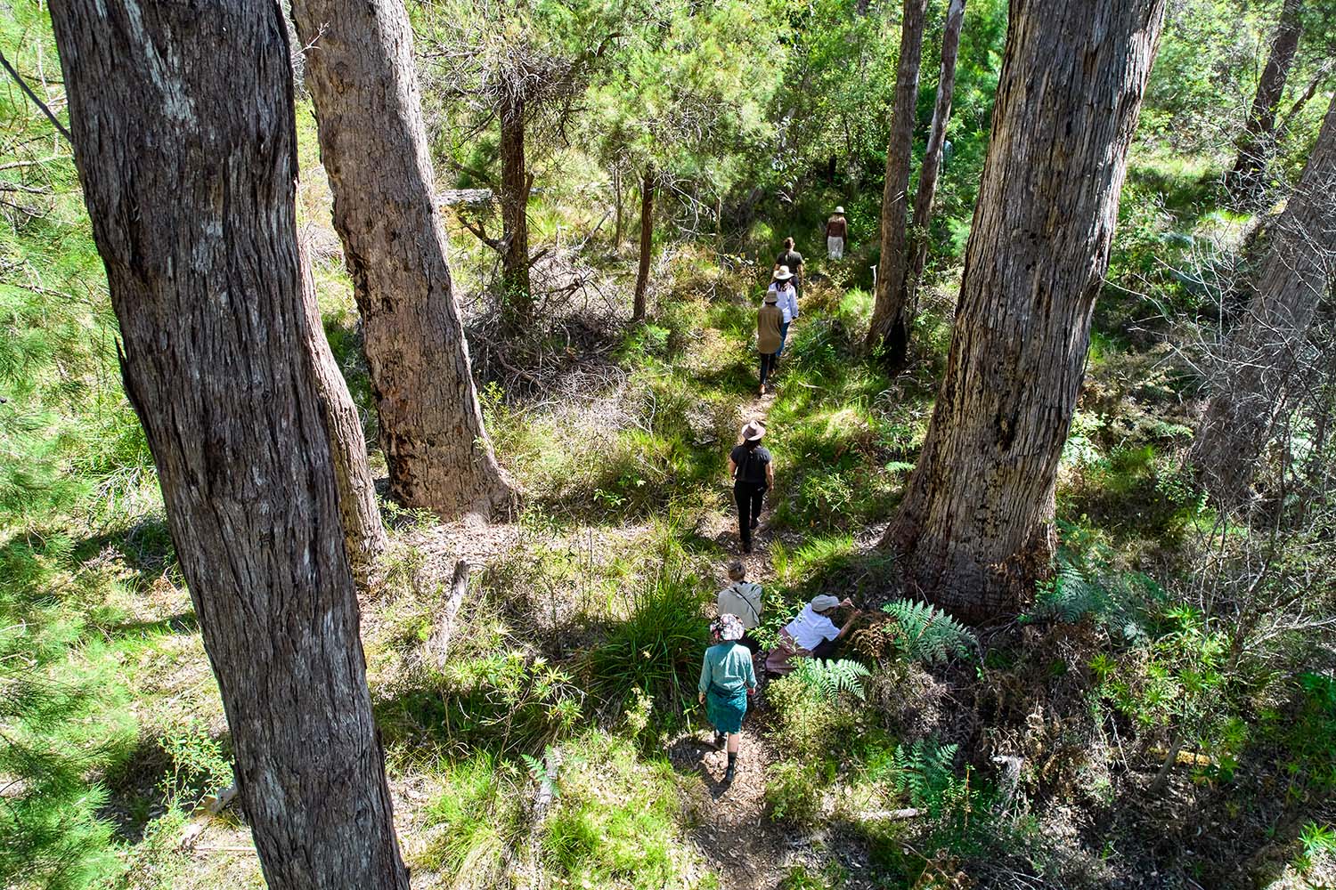 Bo Wong's Immersive Retreat in Western Australia - nature walk
